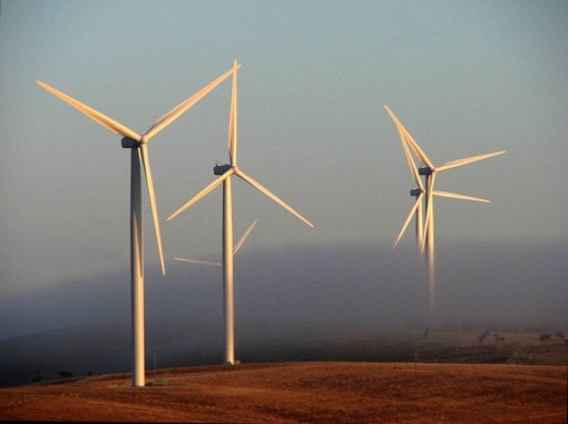 do wind farms make money