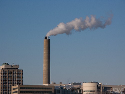 Causes And Effects Of Pollution Essay