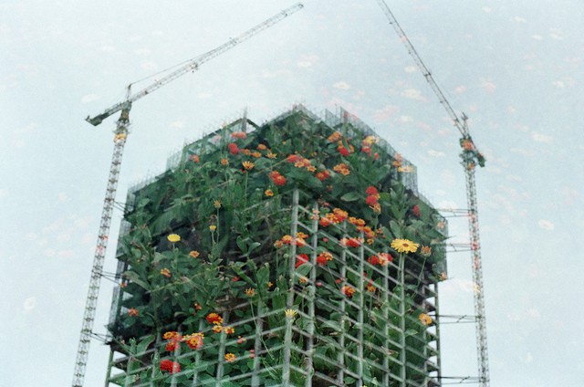 Green_building