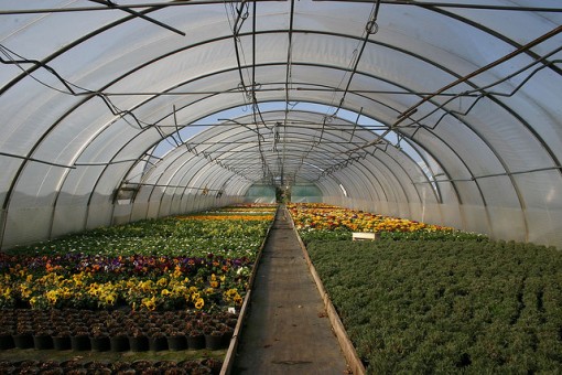 Causes Of The Greenhouse Effect Conserve Energy Future Causes Of The Greenhouse Effect Conserve Energy Future