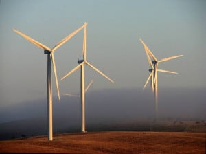 wind-turbine