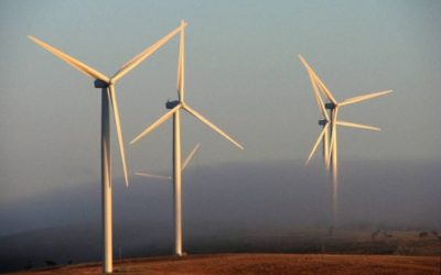 What is a Wind Turbine and How Do Wind Turbines Produce Electricity