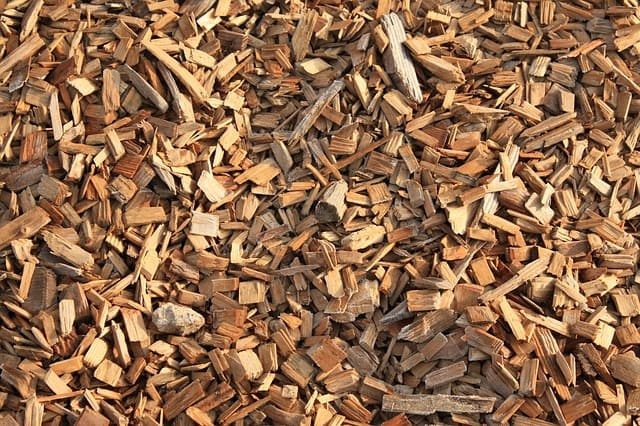 How Does Biomass Work 