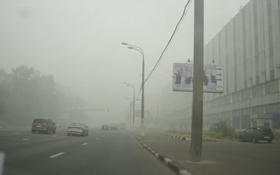 Causes and Effects of Smog on Our Environment