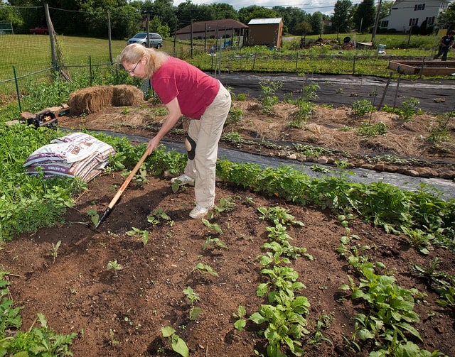 What are the Benefits of Organic Gardening? 