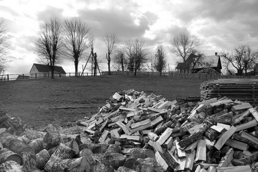 More land is needed for housing so forests are being cut more to provide more land for humans