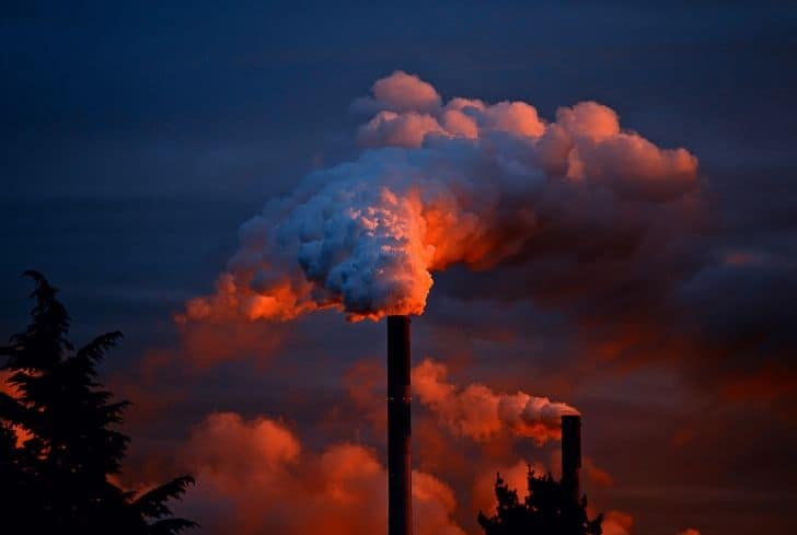 How Does Air Pollution Kills Plants and Animals? - Conserve Energy Future
