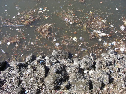 Due to a bunch of garbage being deposited on an everyday basis, a large portion of the land becomes degraded and unused.