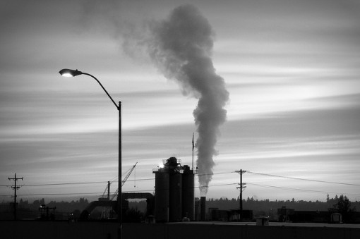 Carbon dioxides from factories can release harmful gases in the environment to pollute it