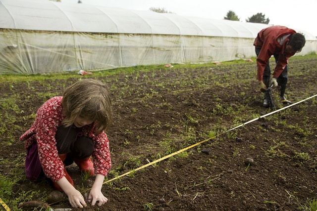 What is Farming and Best Sustainable Farming Practices? - Conserve Energy Future