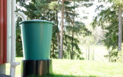 Rainwater Harvesting: Advantages, Disadvantages, Uses and Techniques