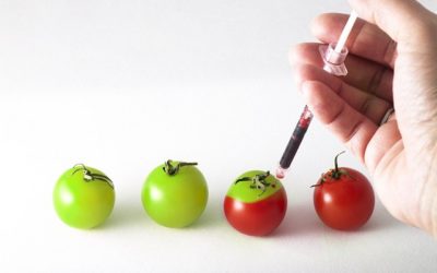 What is Genetic Engineering and Pros and Cons of Genetically Modified Foods