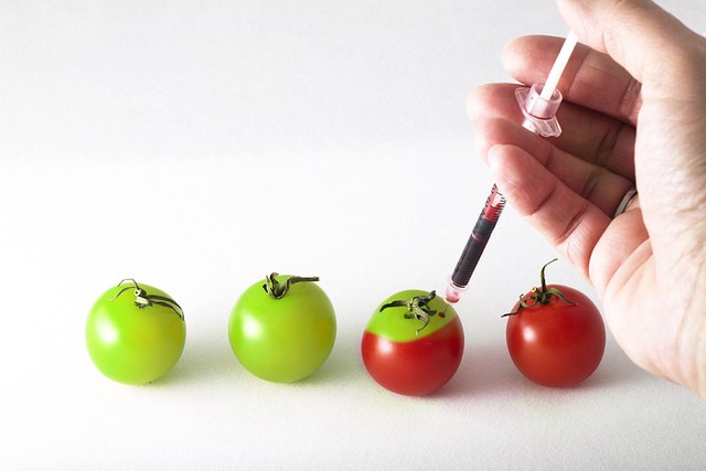 Vaizdo rezultatas pagal užklausą „genetic engineering“
