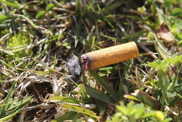 Soil Pollution: Definition, Causes, Effects and Solutions - Conserve Energy Future Soil Pollution: Definition, Causes, Effects and Solutions - Conserve Energy Future