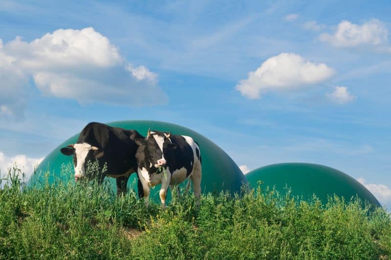 Various Advantages and Disadvantages of Biogas