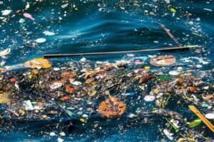 Interesting Facts About Water Pollution You’ll Wish You’d Known