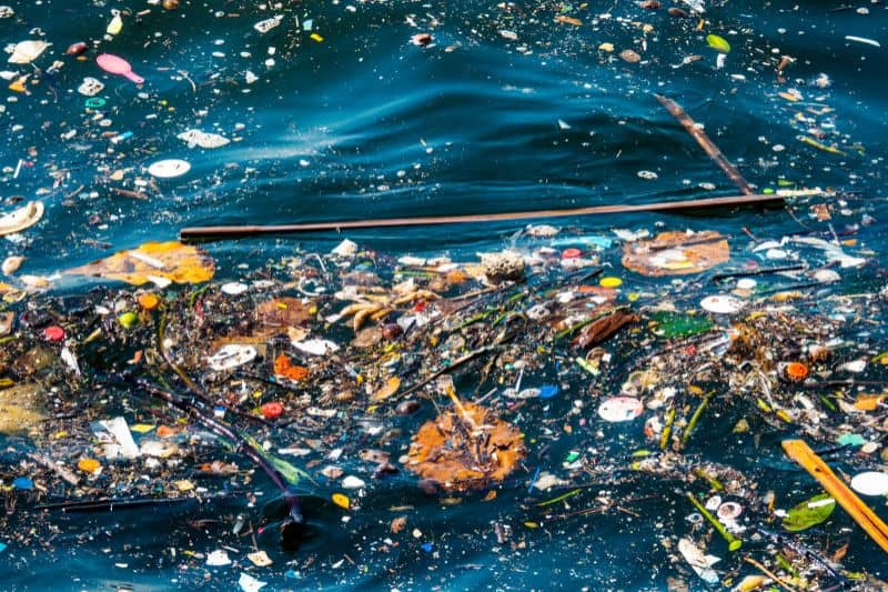 Interesting Facts About Water Pollution You’ll Wish You’d Known