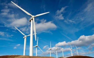 35 Interesting Facts About Wind Energy That Might Surprise You