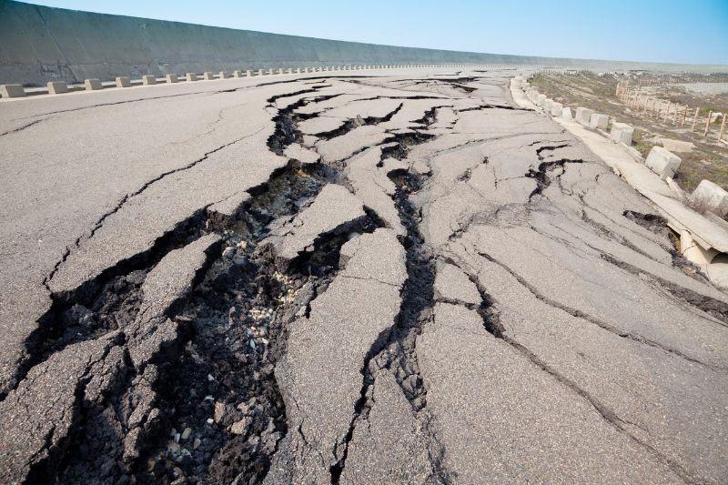 Tohoku Earthquake 