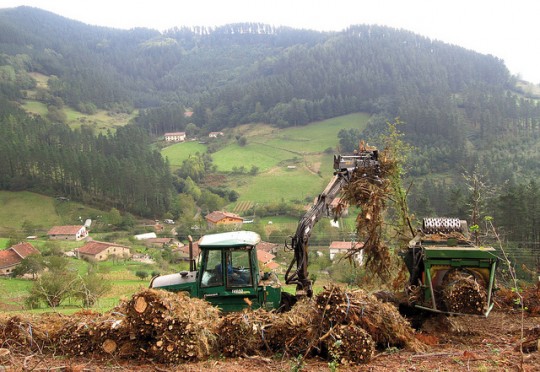 Biomass_harvesting
