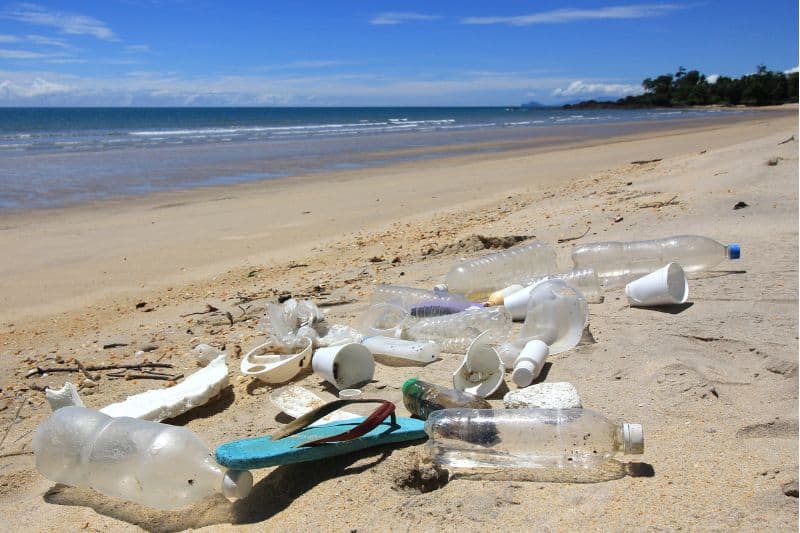 Trash in the beach