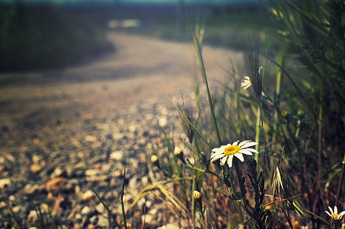 International_Earth_Day