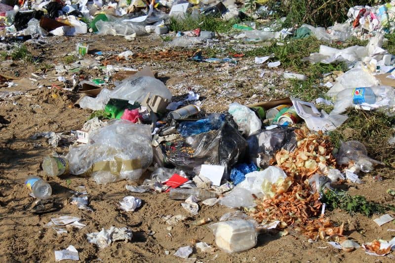 30 Astonishing Facts About Littering That You Might Not Know