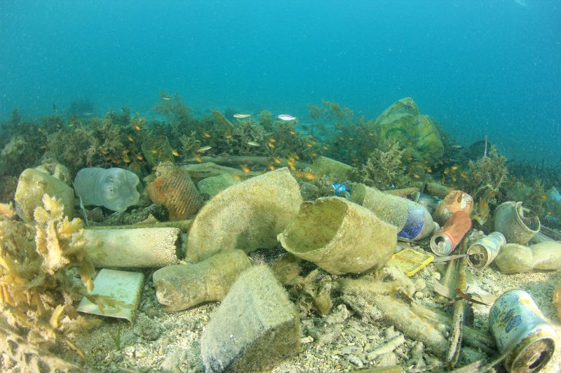 Ocean pollution is more common in waters more than 2,000 feet deep