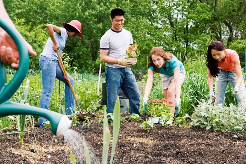 Community garden for sustainable life