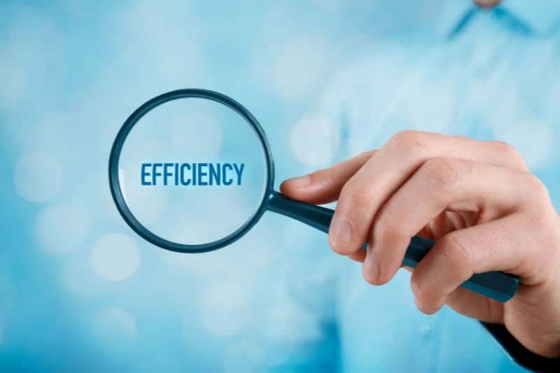 Efficiency for sustainable life