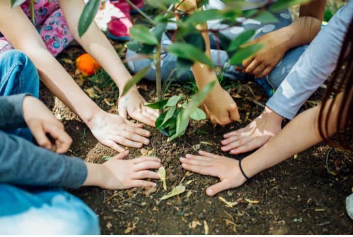 Tree-planting