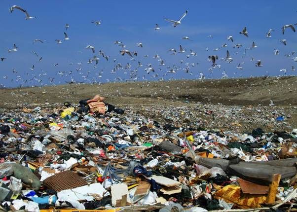 Landfill_environmental_concern