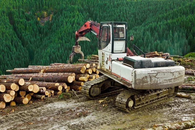 Logging as an environmental concern