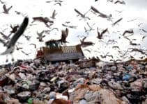 How Do and How Much Landfills Contribute to Global Warming?