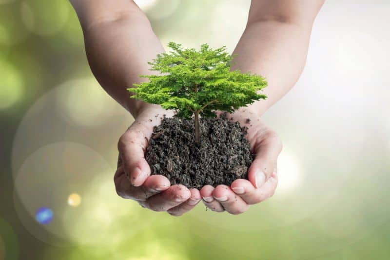Better planet earth