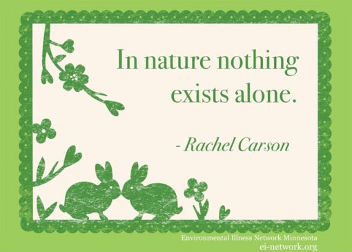 151 Inspiring Environmental Quotes - Conserve Energy Future