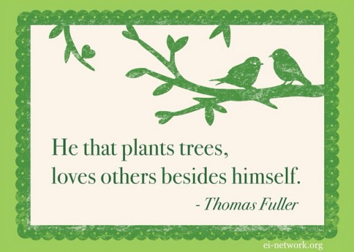 151 Inspiring Environmental Quotes About Global Warming Climate Change And Sustainability Conserve Energy Future 151 Inspiring Environmental Quotes About Global Warming Climate Change And Sustainability Conserve Energy Future