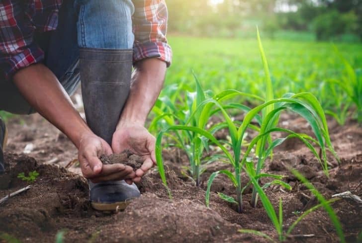 Sustainable Land Management Land Water Food And Agriculture
