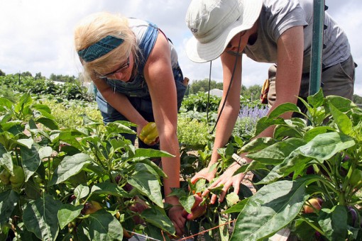 Agricultural Exchange Programs : Free Programs, Utilities And Apps Agricultural Exchange Programs : Free Programs, Utilities And Apps