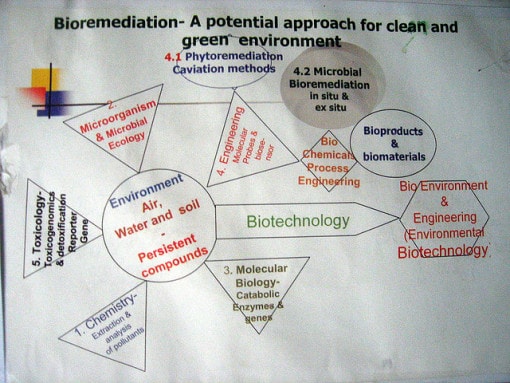 bioremediation examples