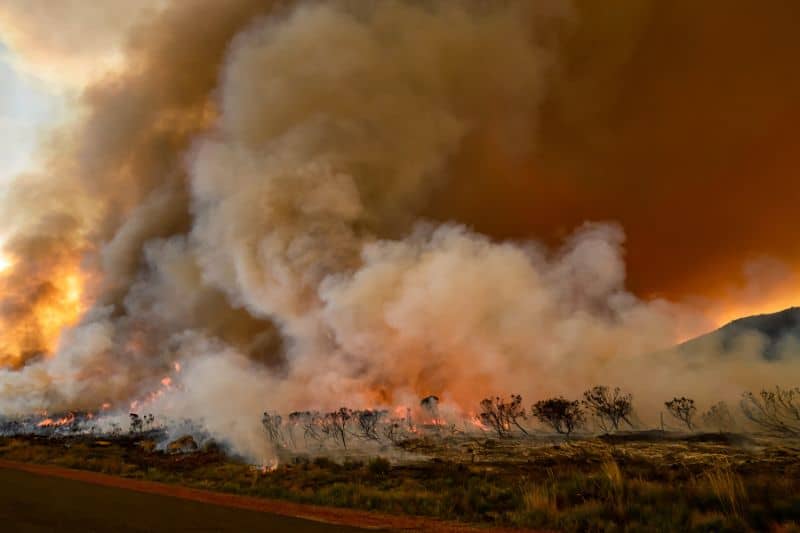Wildfires Produce Smoke
