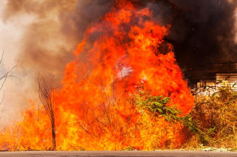 Causes of wild fire