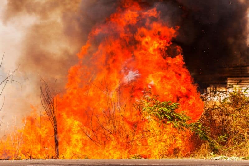 Causes of wild fire