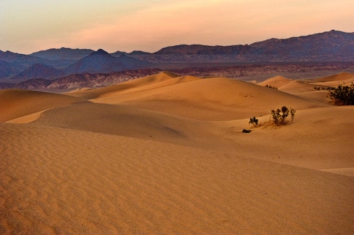 hot-and-dry-desert-biome