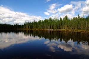 wetlands-near-utikuma-lake