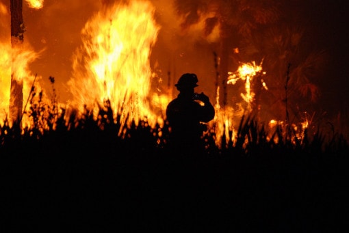 Causes, Effects and Brilliant Solutions to Growing Problem of Wildfires -  Conserve Energy Future