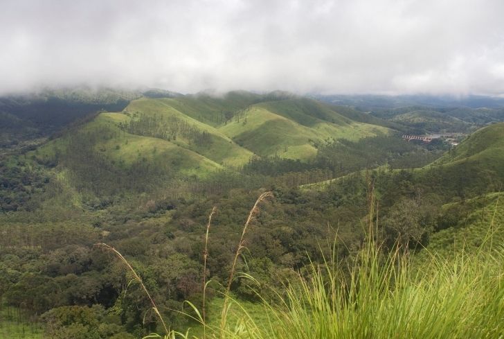 Temperate Grasslands Biome: Location, Climate, Temperature, Plants and Animals | Conserve Energy Future Temperate Grasslands Biome: Location, Climate, Temperature, Plants and Animals | Conserve Energy Future