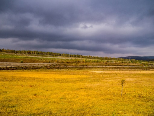 average temperature in a temperate grassland