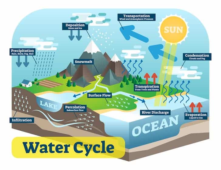 schematic representation of water cycle