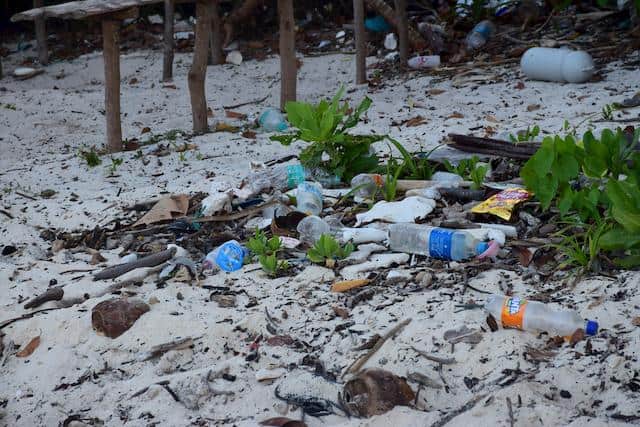 Causes, Effects and Incredible Solutions to Plastic Pollution You'll Wish You'd Known - Conserve Energy Future Causes, Effects and Incredible Solutions to Plastic Pollution You'll Wish You'd Known - Conserve Energy Future